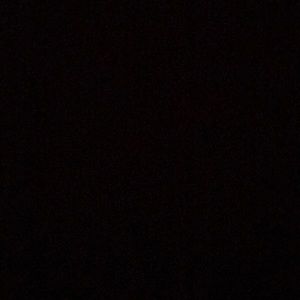 Meet your Posher, Bryson